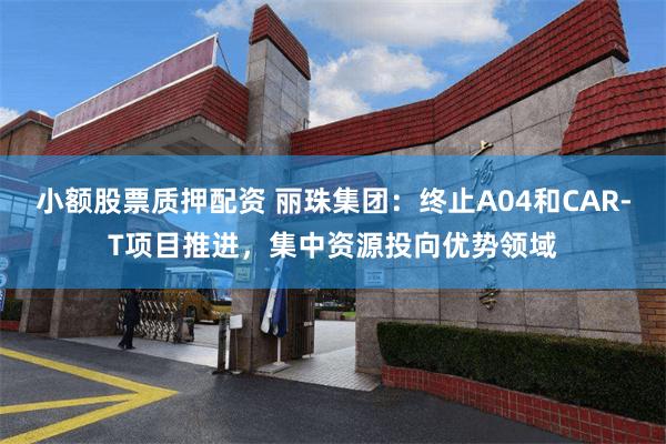 小额股票质押配资 丽珠集团：终止A04和CAR-T项目推进，集中资源投向优势领域