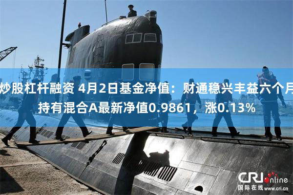 炒股杠杆融资 4月2日基金净值：财通稳兴丰益六个月持有混合A最新净值0.9861，涨0.13%