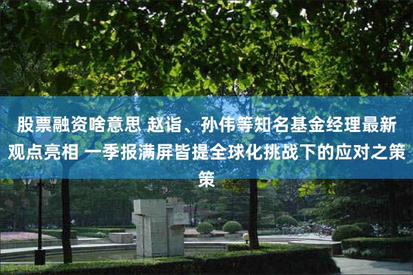股票融资啥意思 赵诣、孙伟等知名基金经理最新观点亮相 一季报满屏皆提全球化挑战下的应对之策