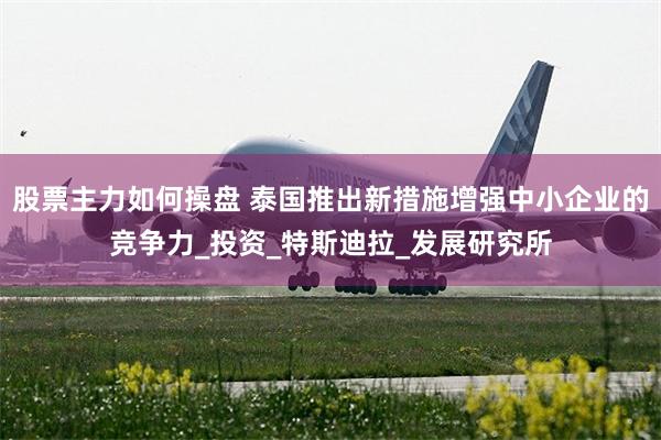 股票主力如何操盘 泰国推出新措施增强中小企业的竞争力_投资_特斯迪拉_发展研究所