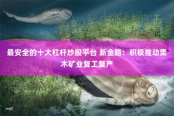 最安全的十大杠杆炒股平台 新金路：积极推动栗木矿业复工复产