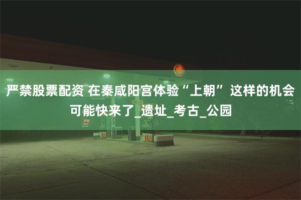 严禁股票配资 在秦咸阳宫体验“上朝” 这样的机会可能快来了_遗址_考古_公园