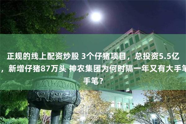 正规的线上配资炒股 3个仔猪项目，总投资5.5亿元，新增仔猪87万头 神农集团为何时隔一年又有大手笔？