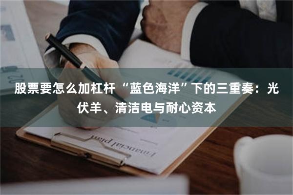 股票要怎么加杠杆 “蓝色海洋”下的三重奏：光伏羊、清洁电与耐心资本